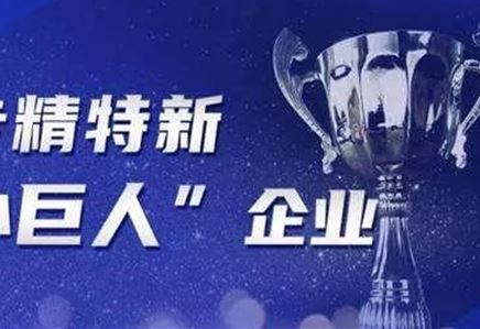 公司獲江蘇省“專精特新小巨人”榮譽(yù)稱號